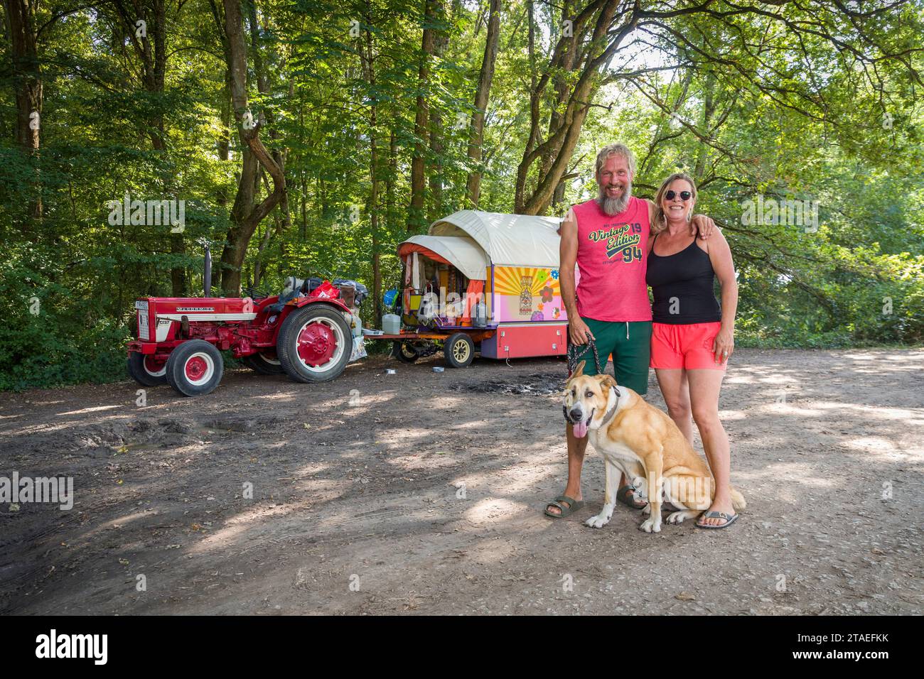 France, Indre et Loire, Francueil, des pays-Bas, Paul, un ancien policier, et Patricia, tous deux atteints d'une maladie grave, ont tout laissé derrière eux pour partir sur les routes d'Europe dans la caravane faite de leurs propres mains tirée par un vieux tracteur, pour se libérer des contraintes matérielles en accord avec leurs croyances religieuses, ils ont acheté deux bœufs à une ferme de Creuse pour remplacer le tracteur Banque D'Images