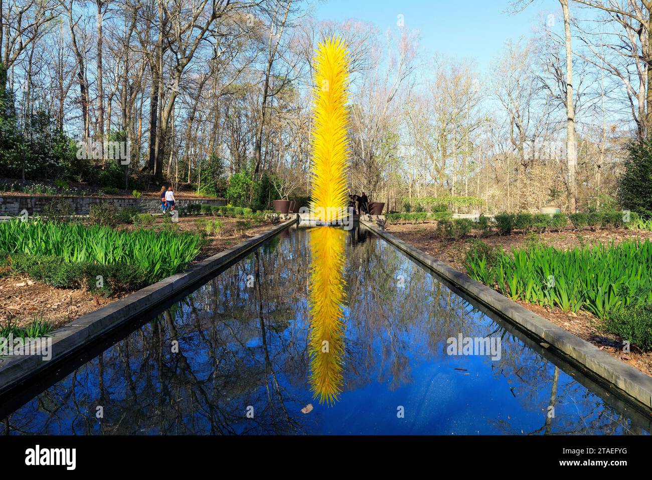 États-Unis, Géorgie, Atlanta, jardin botanique Banque D'Images