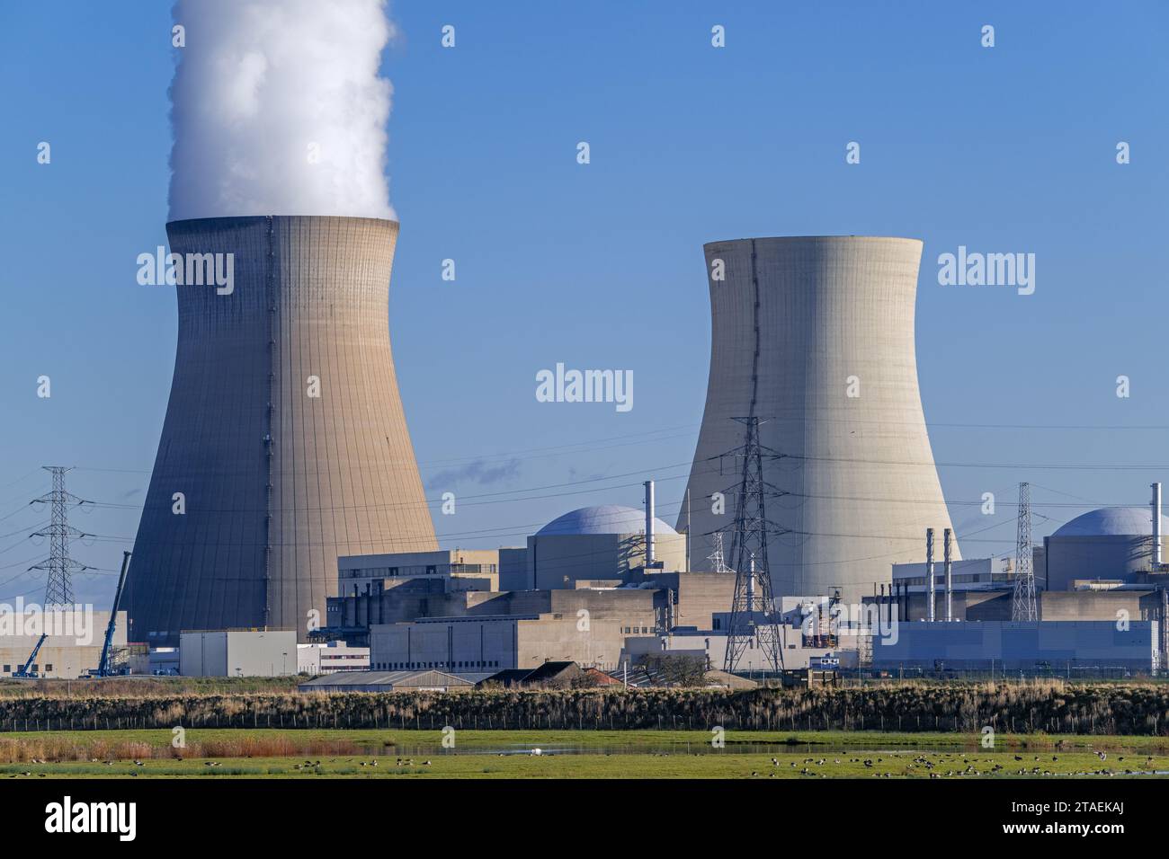 Tours de refroidissement de la centrale nucléaire de Doel / centrale nucléaire dans le port d'Anvers, Flandre orientale, Belgique Banque D'Images Tours de refroidissement de la centrale nucléaire de Doel / centrale nucléaire dans le port d'Anvers, Flandre orientale, Belgique Banque D'Images