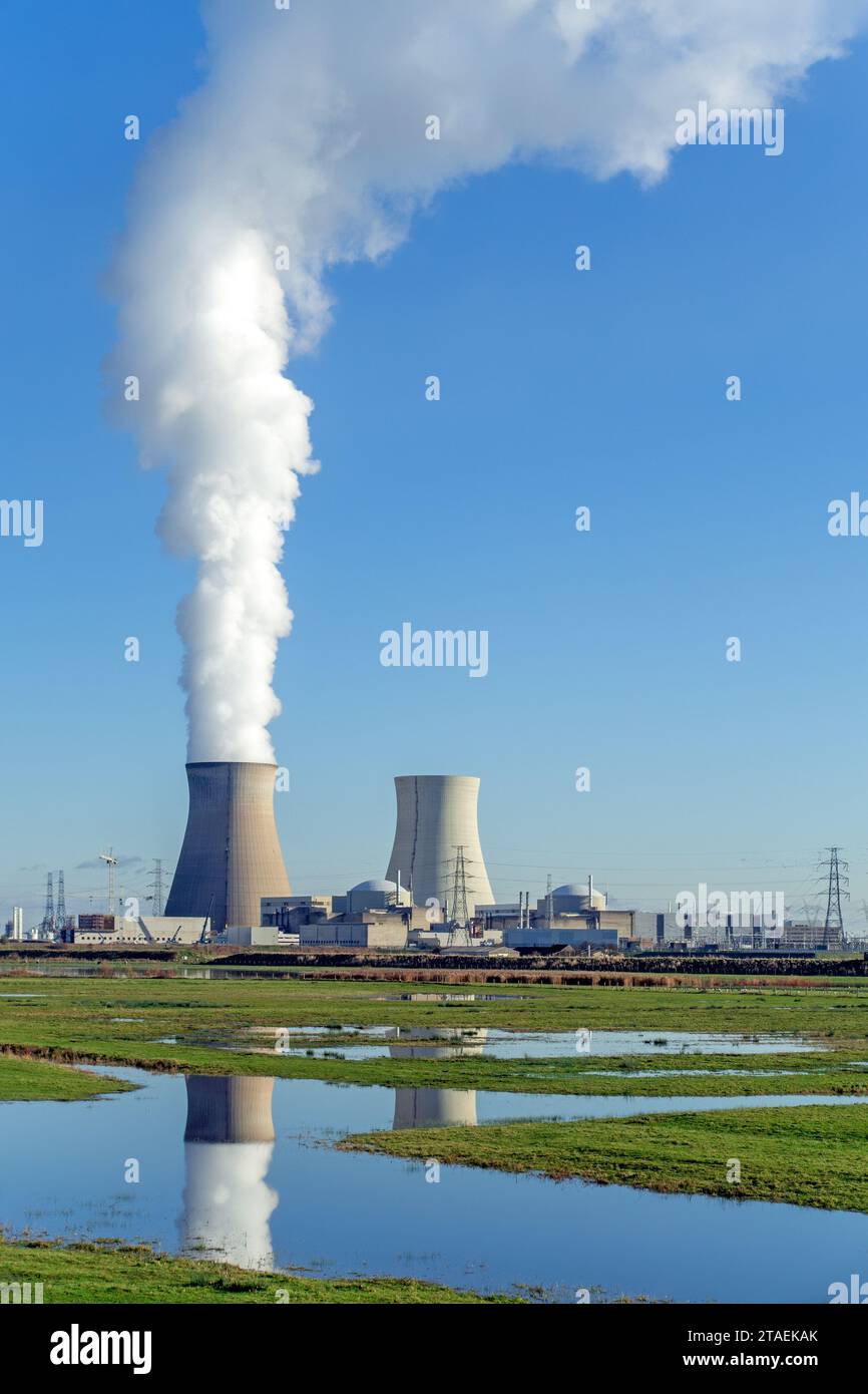 Tours de refroidissement de la centrale nucléaire de Doel / centrale nucléaire dans le port d'Anvers, Flandre orientale, Belgique Banque D'Images Tours de refroidissement de la centrale nucléaire de Doel / centrale nucléaire dans le port d'Anvers, Flandre orientale, Belgique Banque D'Images