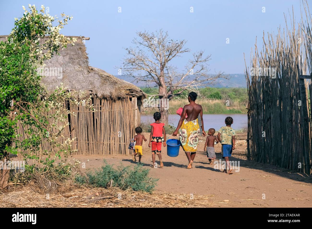 Femme malgache marchant avec des enfants pour obtenir de l'eau de la rivière Tsiribihina au village Ambotomisay, Menabe, hauts plateaux centraux, Madagascar, Afrique Banque D'Images