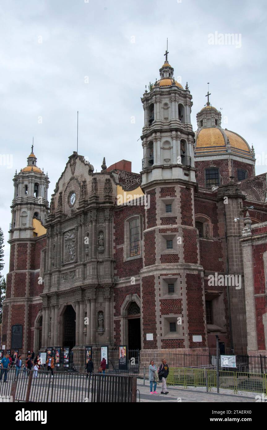 Mexico, District fédéral, Mexique. 14 octobre 2023 : visiteurs et pèlerins se reposent devant l’ancienne basilique notre-Dame de Guadalupe, un chat romain Banque D'Images