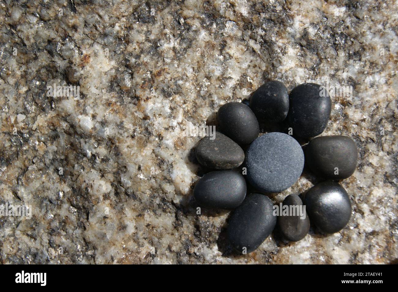 La fleur est faite de petites pierres. Elément de jardin en pierre. Banque D'Images