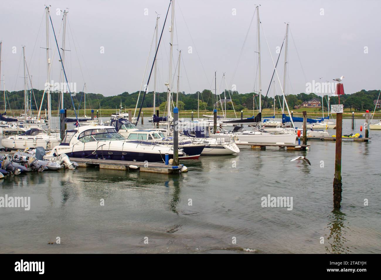 17 juin 2023 embarcation de plaisance amarrée dans la marina sur la rivière Tidal Hamble à Hamble dans le sud de l'Angleterre comté du Hampshire. Banque D'Images