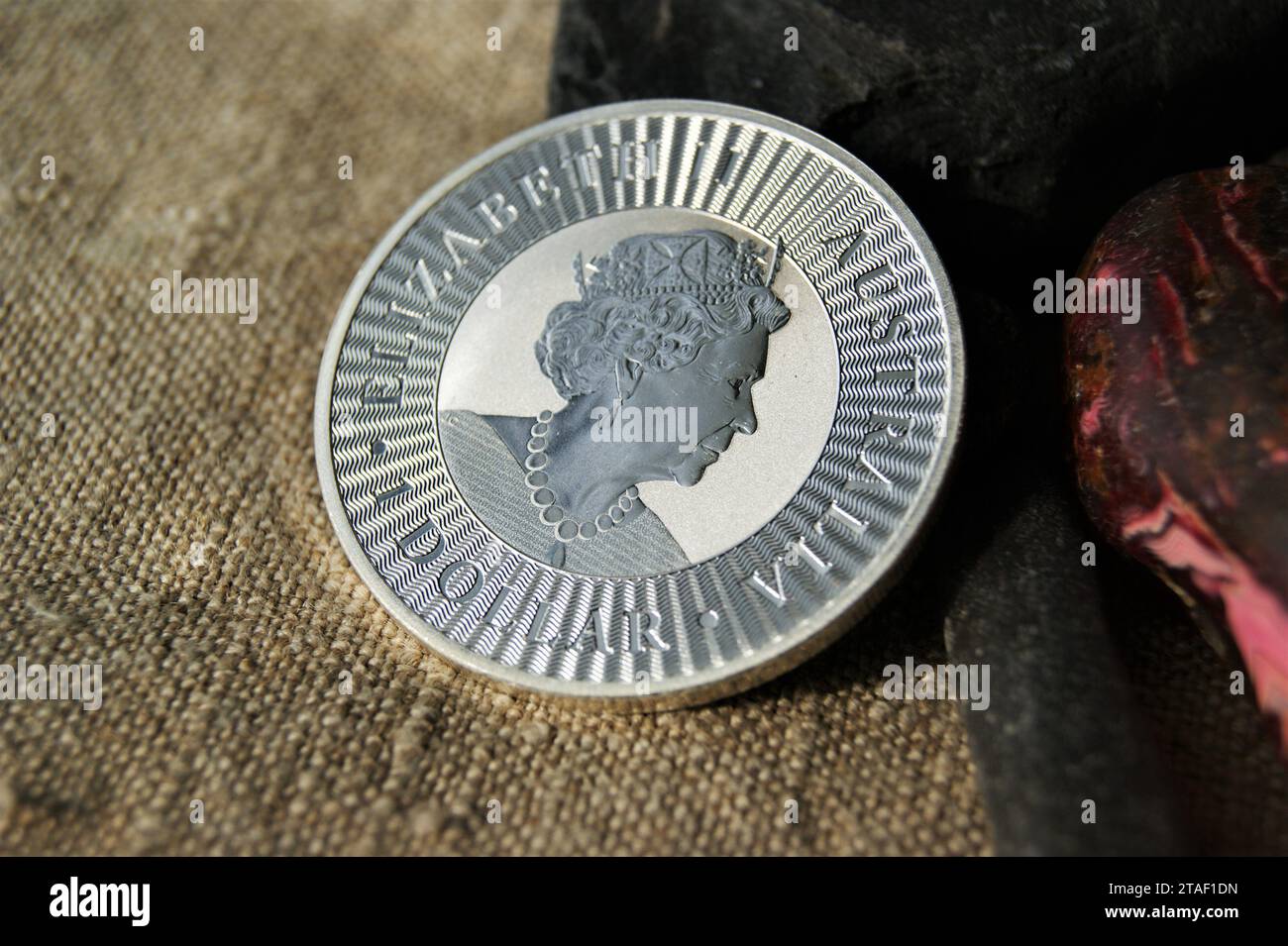 Pièce d'investissement australienne de 1 Dollar Silver. Pièce de monnaie avec portrait de la reine Elizabeth II. Banque D'Images