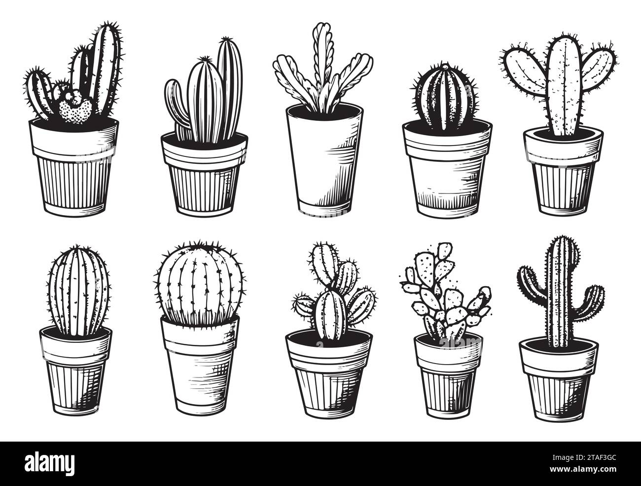 Ensemble de cactus dans des pots illustrations vectorielles dans le style mignon doodle isolé sur fond blanc illustration vectorielle Illustration de Vecteur