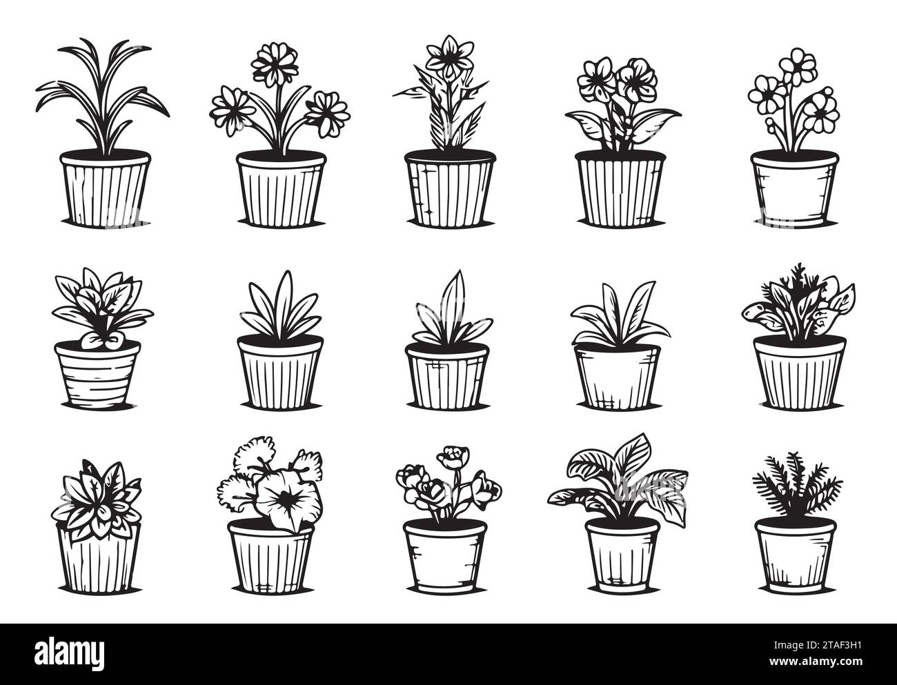 Ensemble de croquis vectoriels de plantes de maison dans des pots sur un fond blanc illustration vectorielle Illustration de Vecteur