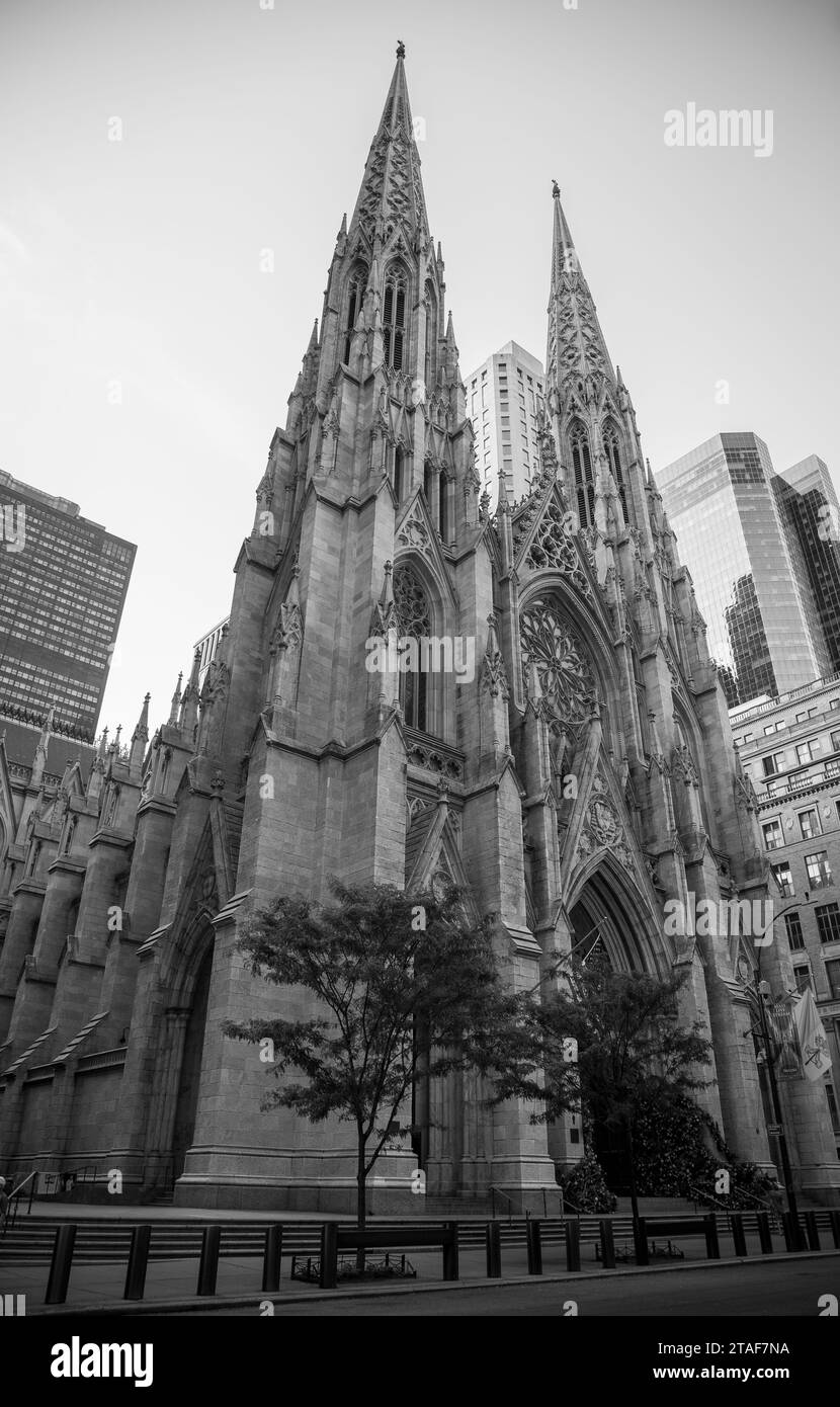 Cathédrale St Patricks, centre-ville de Manhattan. Banque D'Images