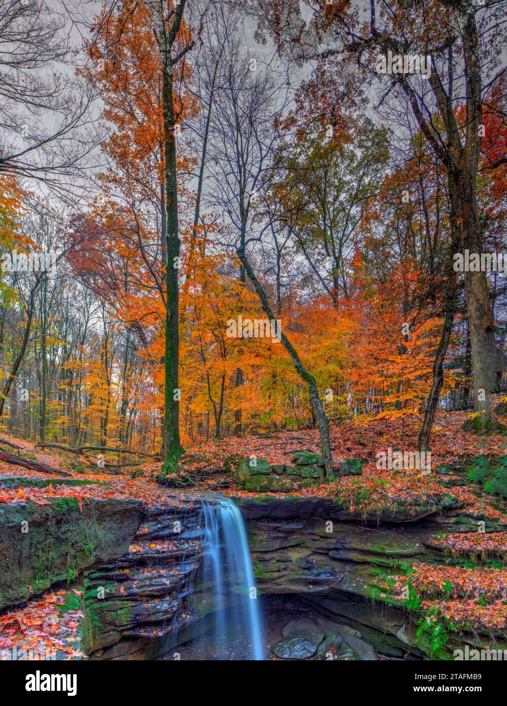 Vue sur Dundee Falls en automne, Beach City Wilderness Area, Ohio Banque D'Images