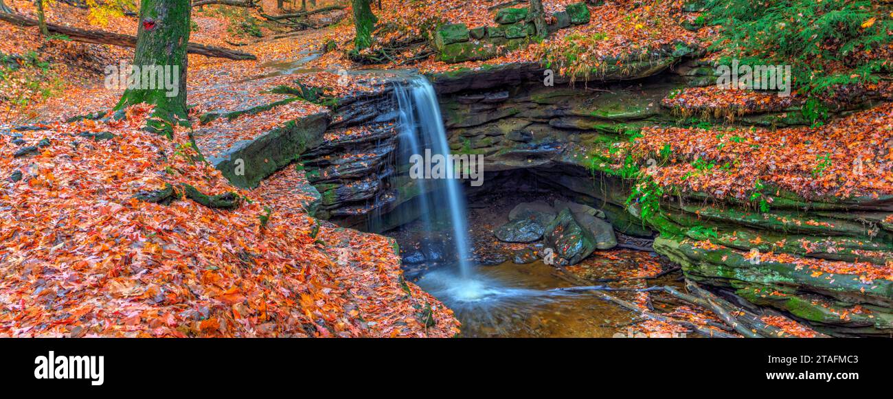 Vue sur Dundee Falls en automne, Beach City Wilderness Area, Ohio Banque D'Images