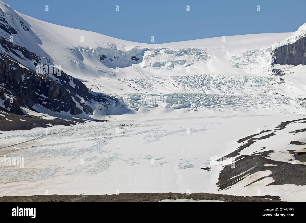 Vue de la moraine terminale à Athabasca, Canada Banque D'Images