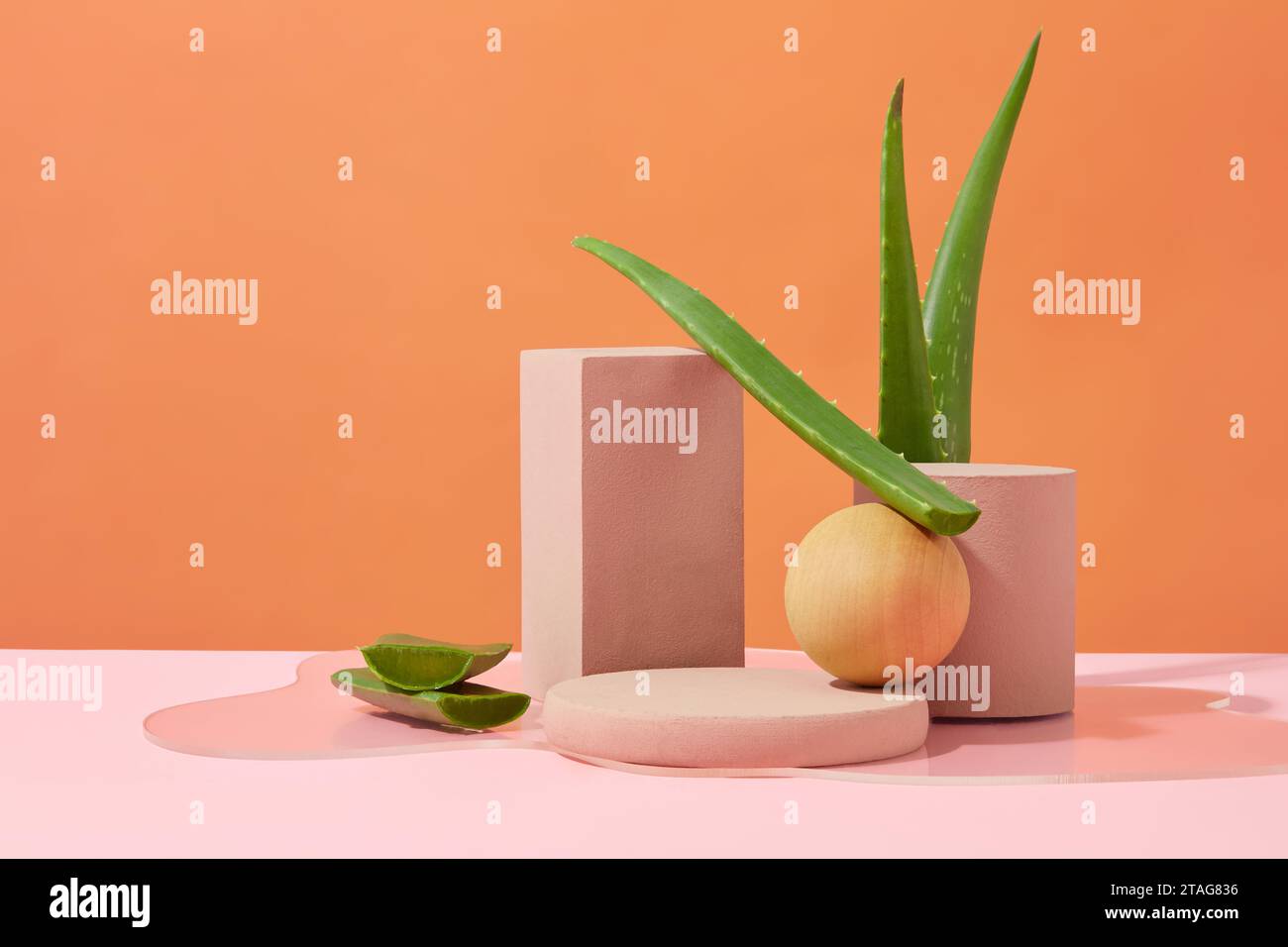 Des plates-formes de différentes formes sont disposées les unes à côté des autres sur une table rose. Fond orange avec des feuilles d'aloe vera. Espace idéal pour la publicité co Banque D'Images