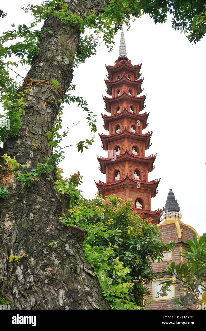 Une pagode à plusieurs niveaux tourne vers le ciel à côté d'un arbre antique dans un temple bouddhiste à Hanoi, Vietnam. Des figures blanches de Bouddha peuvent être vues à chaque niveau Banque D'Images