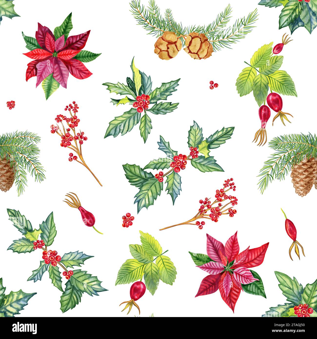 Poinsettia rouge et branches de houx avec motif d'aquarelle sans couture de baies. Hanches roses dessinées à la main et pommes de pin fond sans fin. Imprimé Noël et Banque D'Images