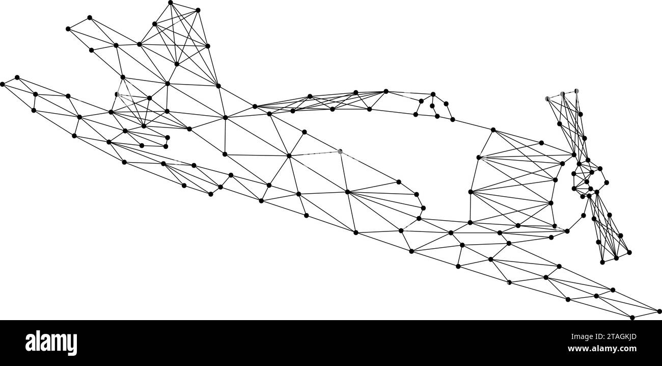 La vis d'avion sport le vol, à partir de lignes noires polygonales abstraites futuristes et de points. Illustration vectorielle. Illustration de Vecteur