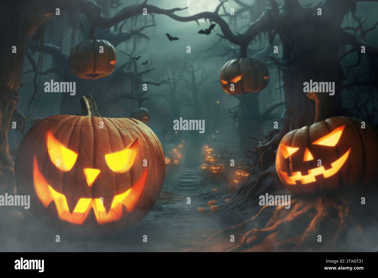 Parc sombre halloween effrayant avec des citrouilles et des arbres dans la nuit. Halloween, concept. Citrouille brillante Banque D'Images