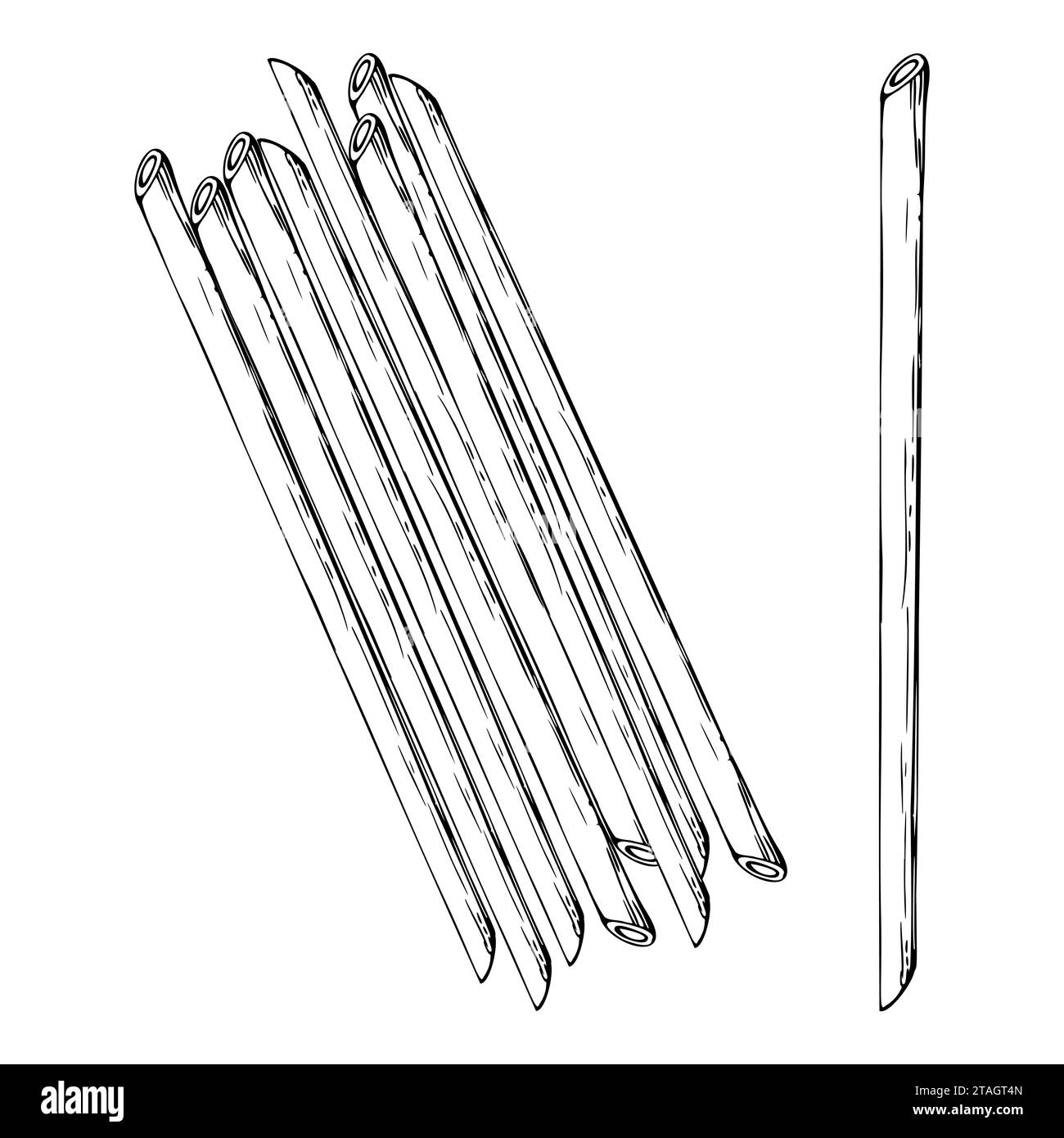 Illustration à l'encre vectorielle dessinée à la main. Pâtes longues cuisine italienne spaghetti vermicelles nouilles. Ensemble d'éléments d'objet unique isolés sur blanc. Pour Illustration de Vecteur