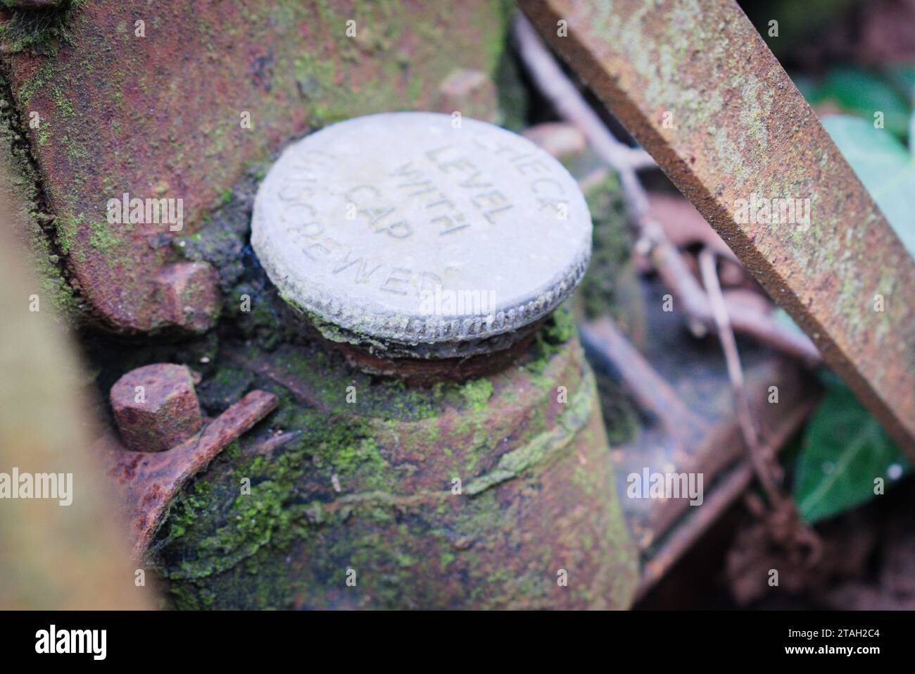 British Anzani cheval de fer Banque D'Images