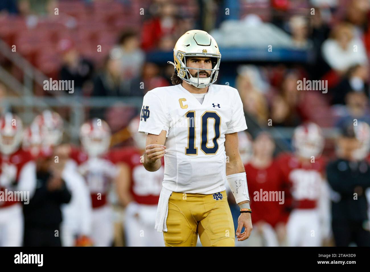 Notre Dame combattant le quarterback irlandais Sam Hartman (10) regarde lors d'un match de football universitaire de saison régulière contre le Cardinal de Stanford, samedi, Banque D'Images