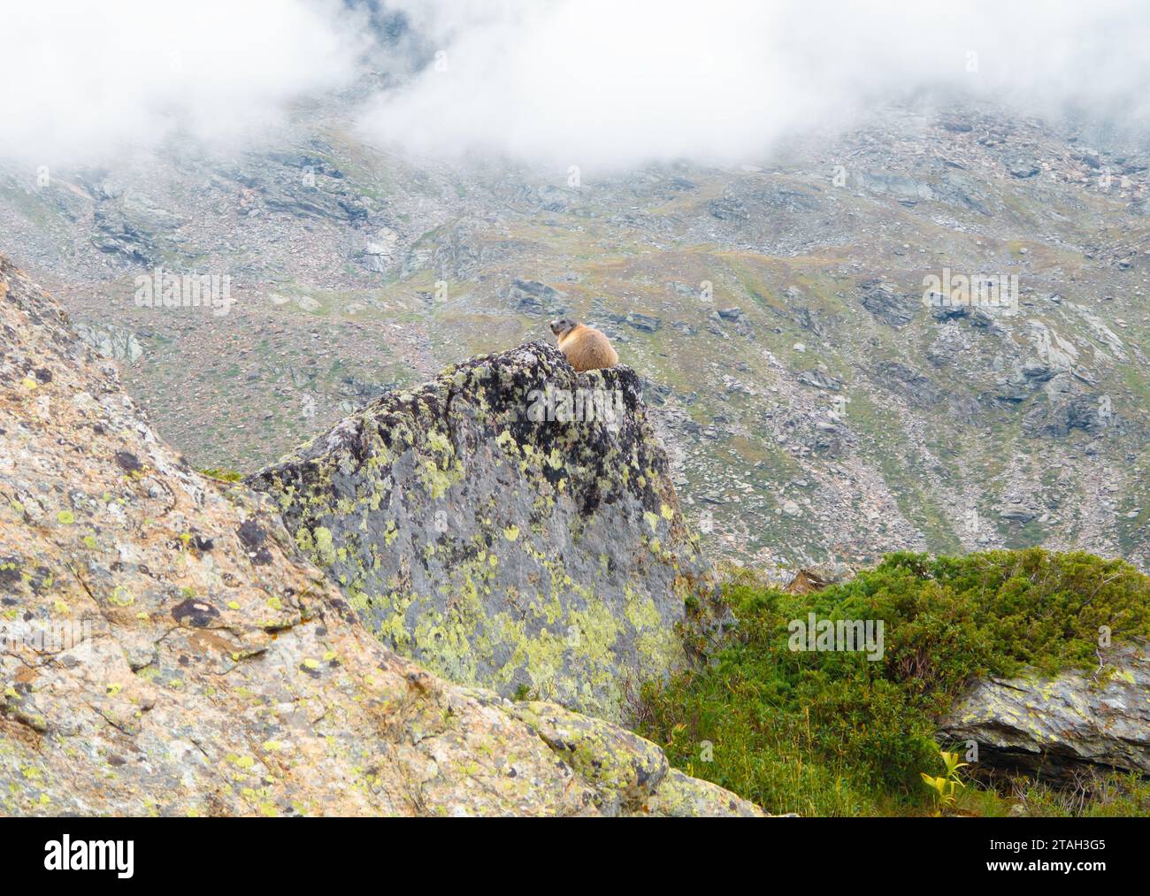 Monte Rosa (Italie) - Une vue sur les montagnes dans le Val d'Ayas avec Monte Rosa sommet des Alpes, des chemins alpinistes à Rifugio Mezzalama e Guide di Ayas Banque D'Images