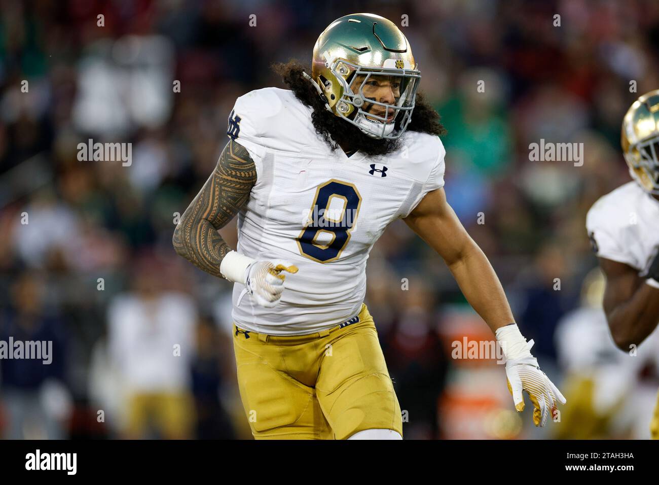Notre Dame Fighting Irish linebacker Marist Liufau (8) se précipite lors d'un match de saison régulière de football universitaire contre le Cardinal de Stanford, samedi, N. Banque D'Images