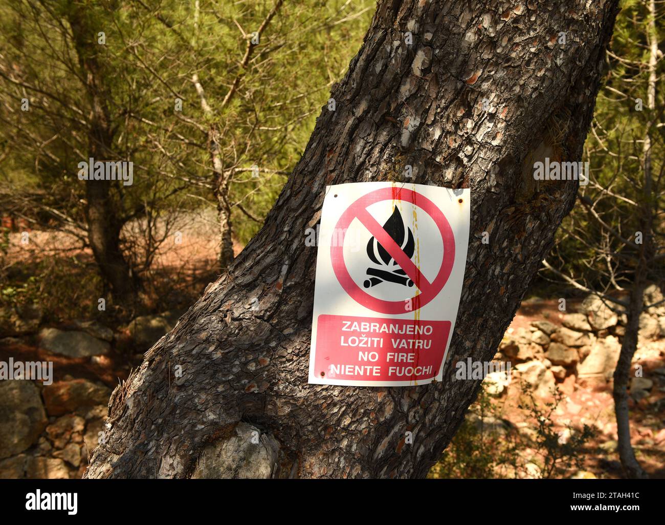 Lastovo, Croatie - août 2017 : panneau 'No Fire' dans la forêt sur l'île de Lastovo, Croatie. Banque D'Images