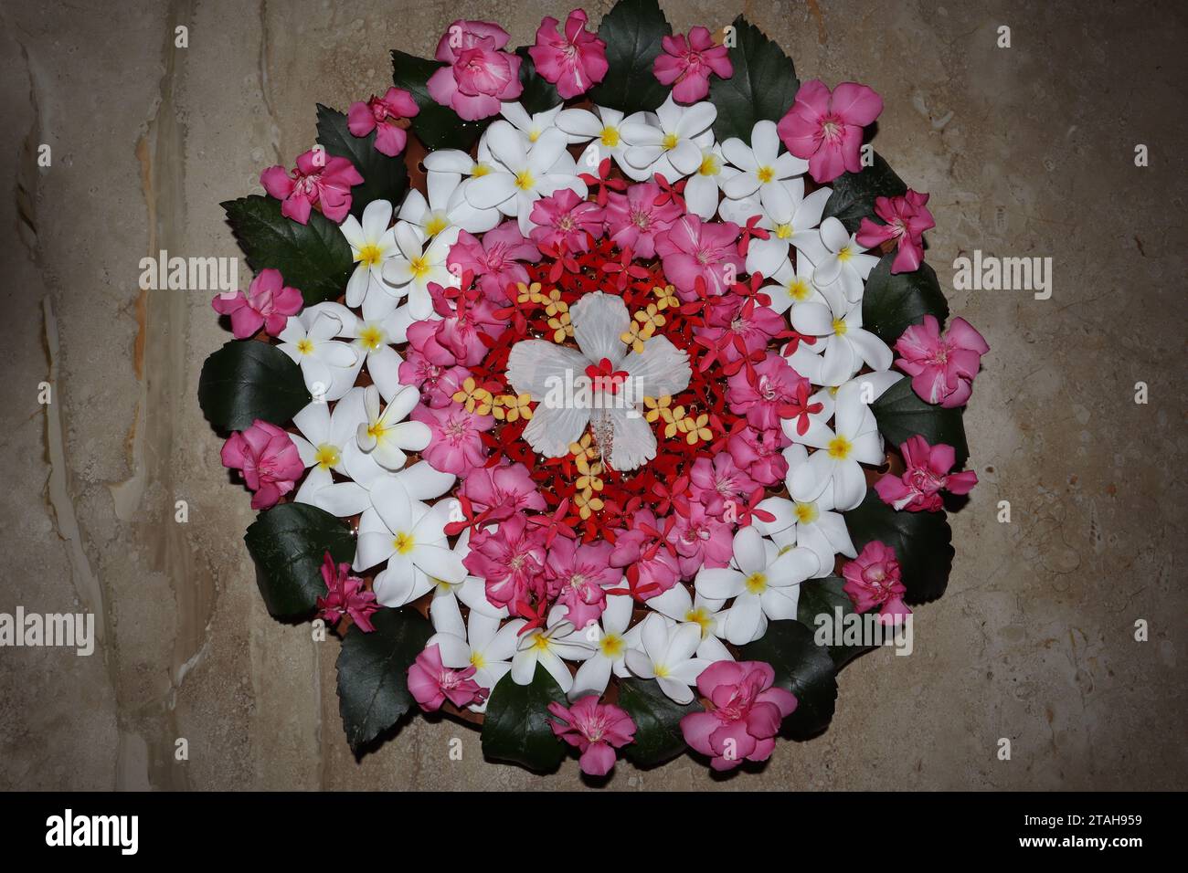 Belles décorations florales flottantes faites dans un grand pot plat en argile. Décoration florale dans l'eau avec Plumeria et Oleander fleurs avec Hibiscus en cent Banque D'Images