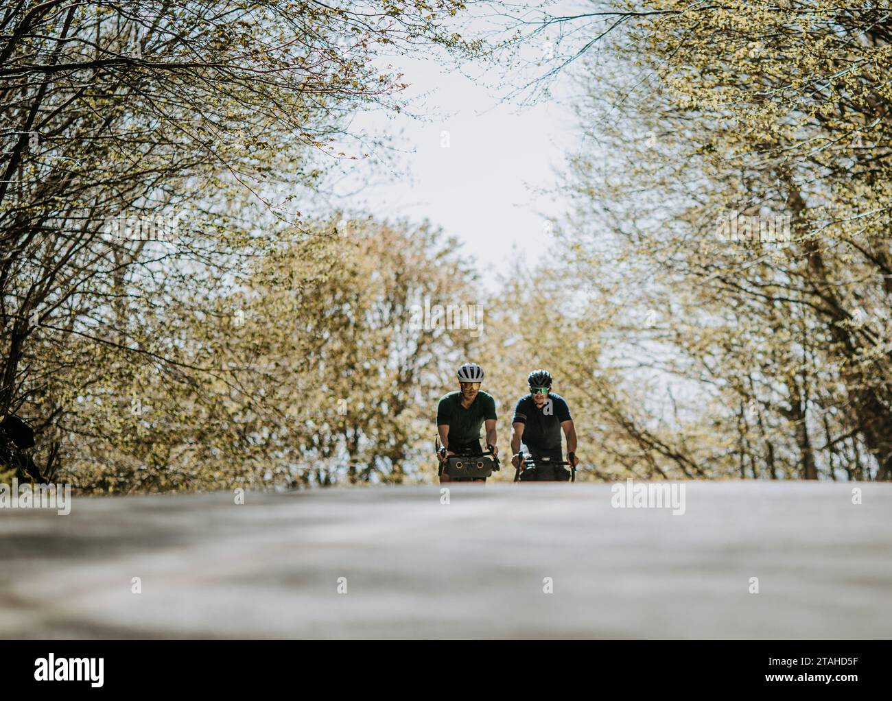 Deux cyclistes masculins gravissent la colline de Lincoln Gap, Vermont Banque D'Images