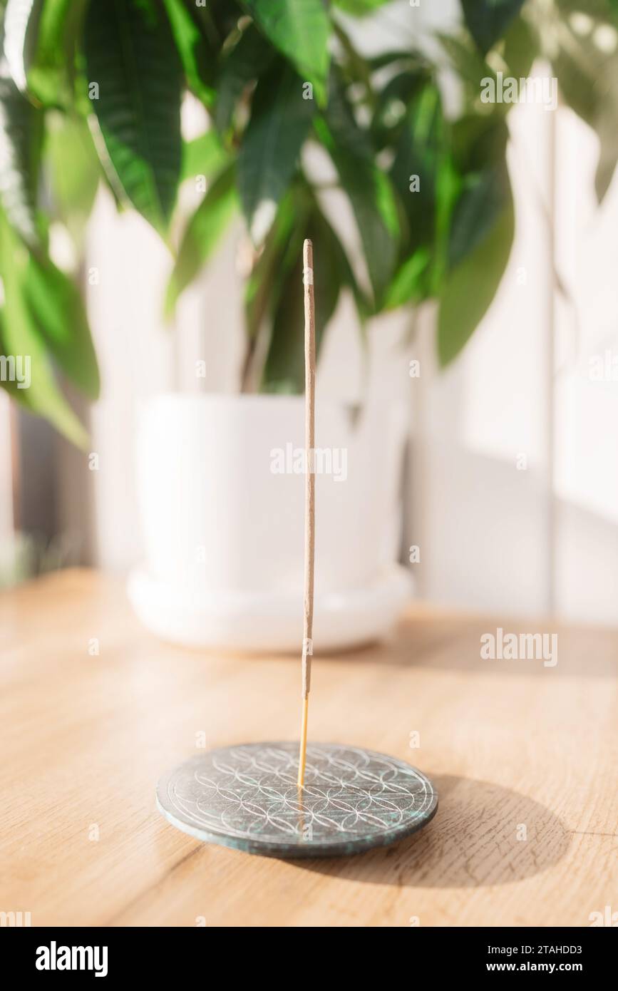 Encens Jasmine entouré par la nature Banque D'Images