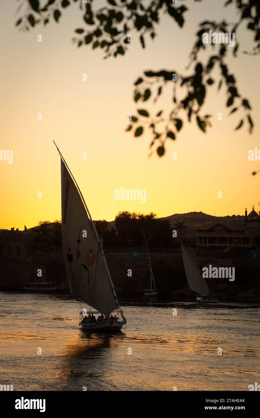 Silhouette de Felucca naviguant sur le Nil pendant l'heure dorée à Assouan Banque D'Images