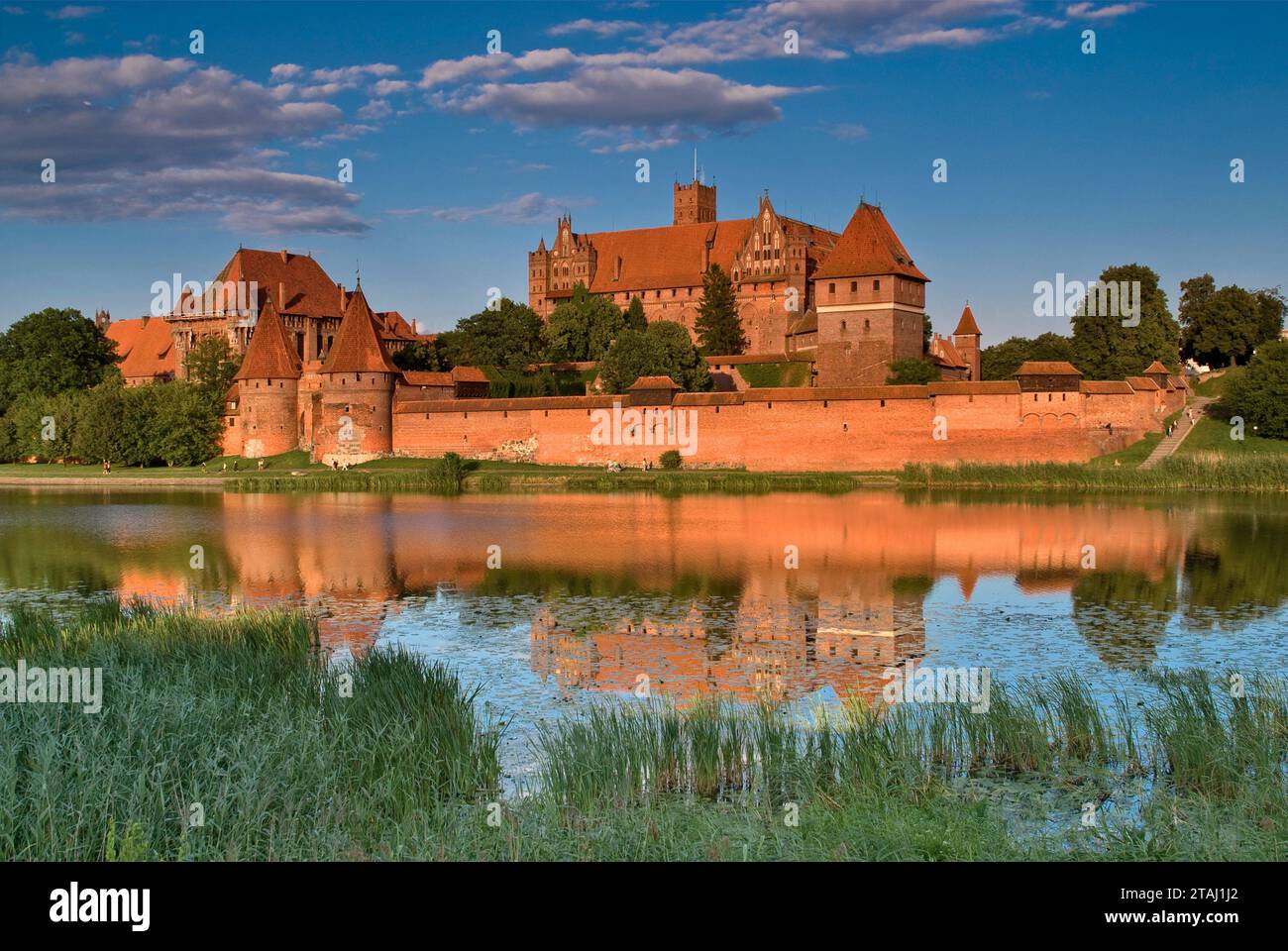 Château teutonique médiéval sur la rivière Nogat au coucher du soleil à Malbork, Pomorskie, Pologne Banque D'Images