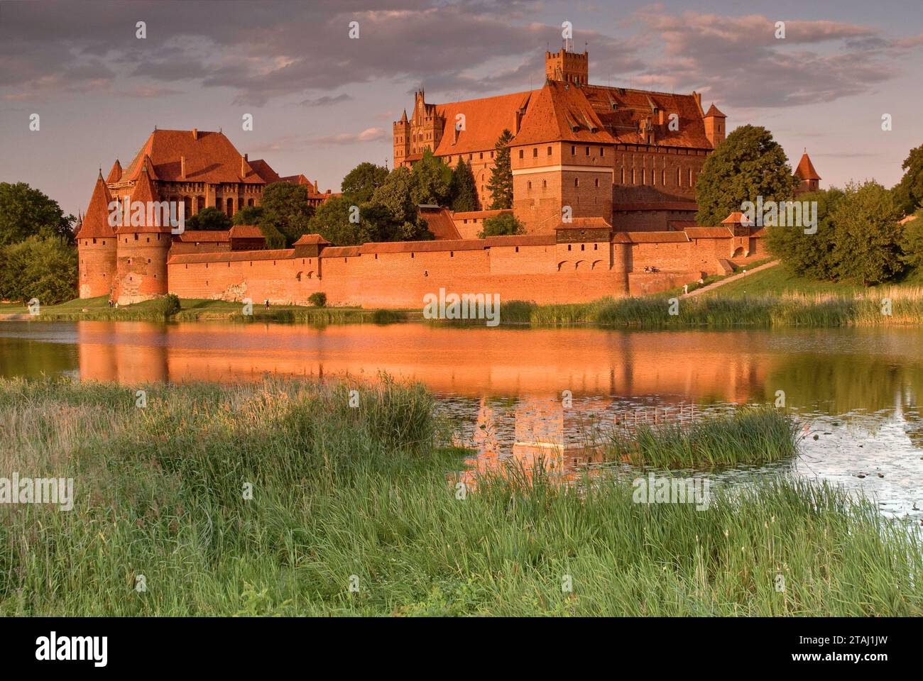 Château teutonique médiéval sur la rivière Nogat au coucher du soleil à Malbork, Pomorskie, Pologne Banque D'Images