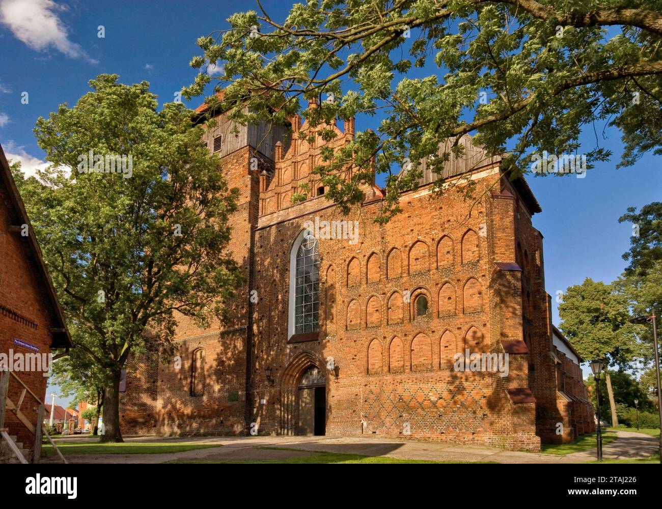Collégiale Saint Matthieu, médiévale, 15e siècle, à Nowy Staw dans la dépression de Zulawy fens, Pomorskie, Pologne Banque D'Images