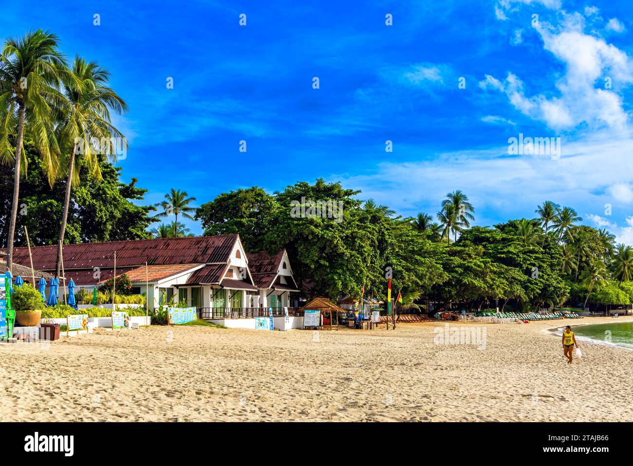 Paysage matinal, plage de Chaweng, Ko Samui, Surat Thani, Thaïlande Banque D'Images