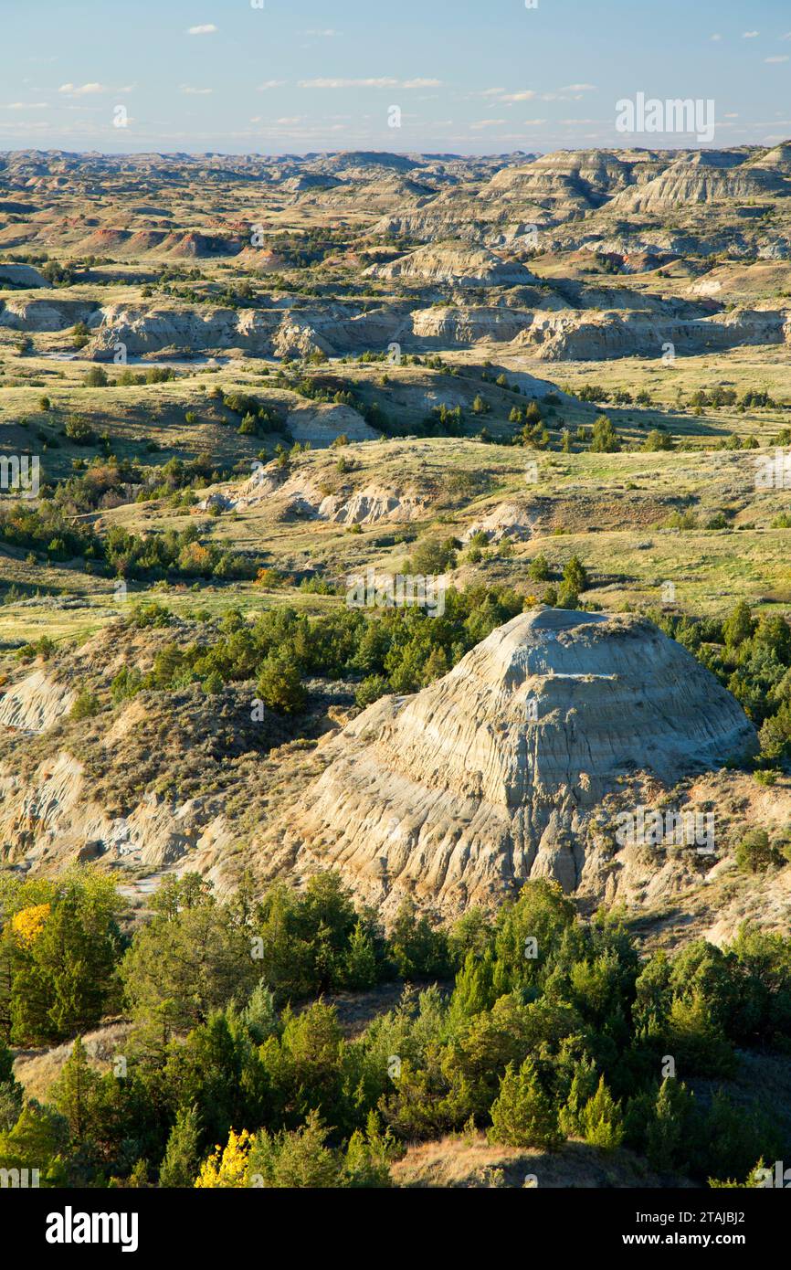 Vue sur le canyon peint, Theodore Roosevelt National Park-South Unit, Dakota du Nord Banque D'Images