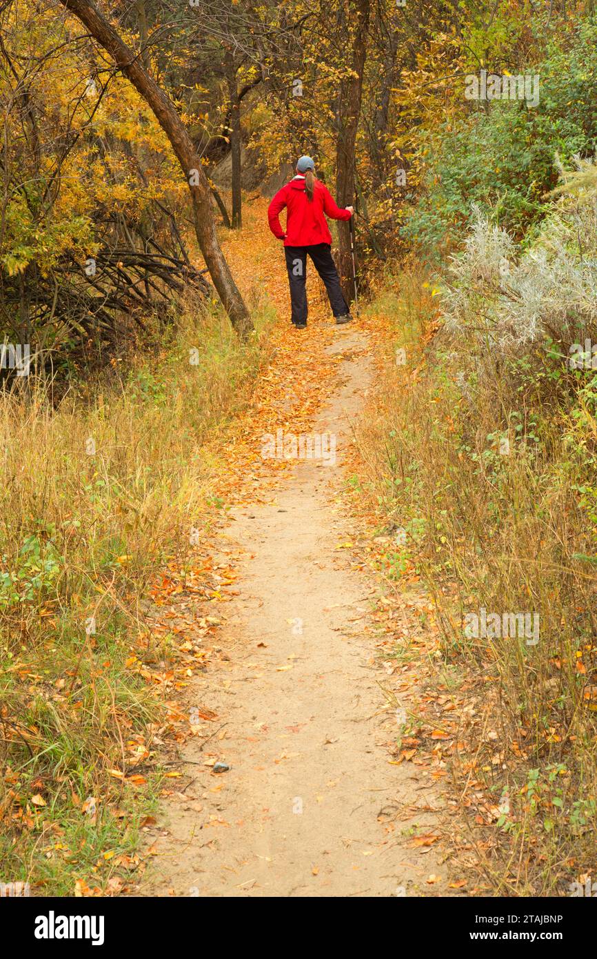 Maah Daah Hey Trail, Sully Creek State Park, Medora, Dakota du Nord Banque D'Images