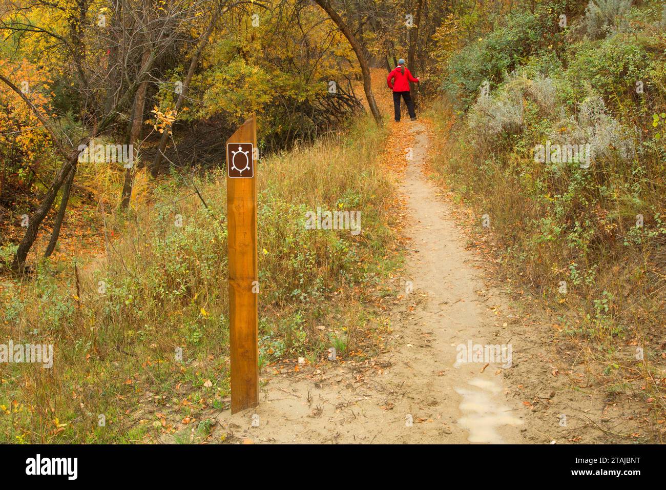 Sentier Maah Daah Hey avec marqueur de sentier, parc national Sully Creek, Medora, Dakota du Nord Banque D'Images