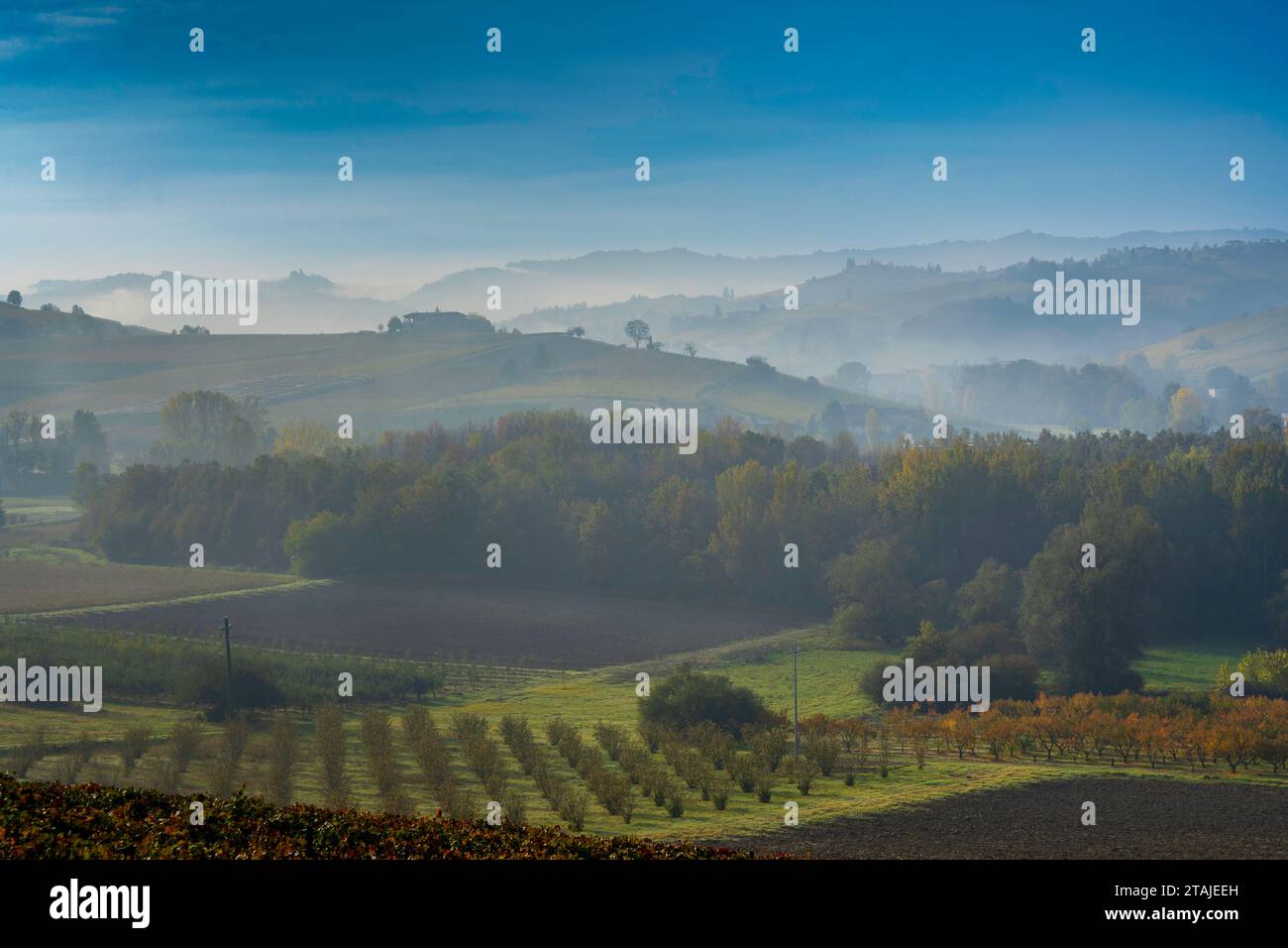 Paysage rural des Langhe, Piémont (Italie) Banque D'Images