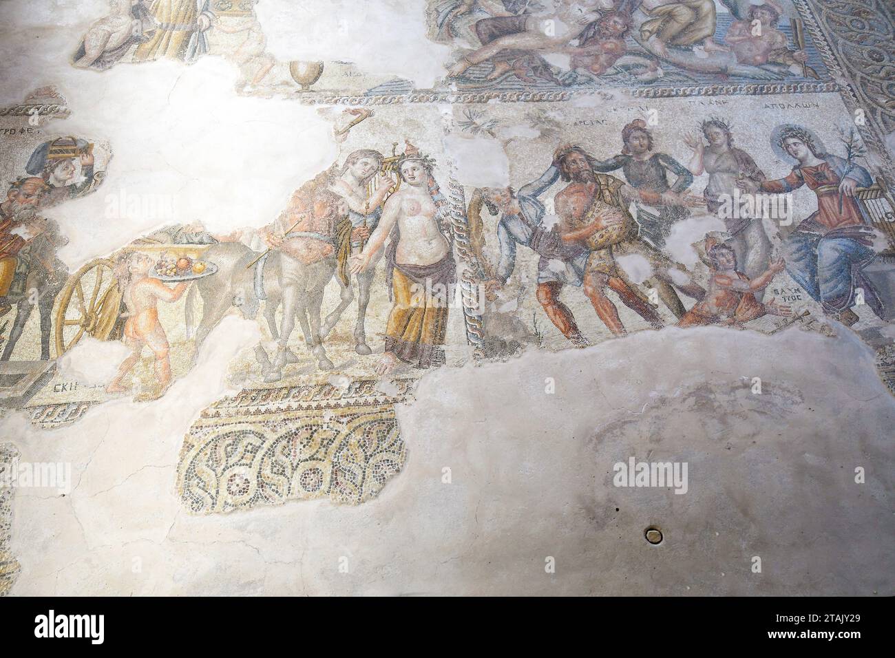 Paphos, Chypre - 02 octobre 2023 : Grande mosaïque dans la salle de réception avec des motifs de la mythologie grecque dans le parc archéologique de Kato Paphos - un UNESC Banque D'Images
