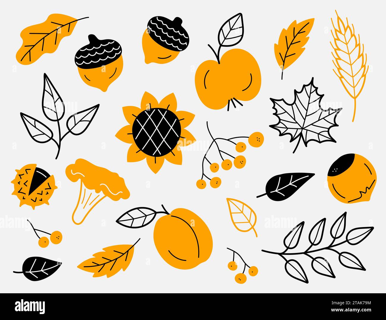 Ensemble d'éléments de récolte d'automne. Feuilles, baies, fruits, légumes, champignons, glands. Dessiné à la main, croquis. Illustration vectorielle dans le style doodle. Illustration de Vecteur