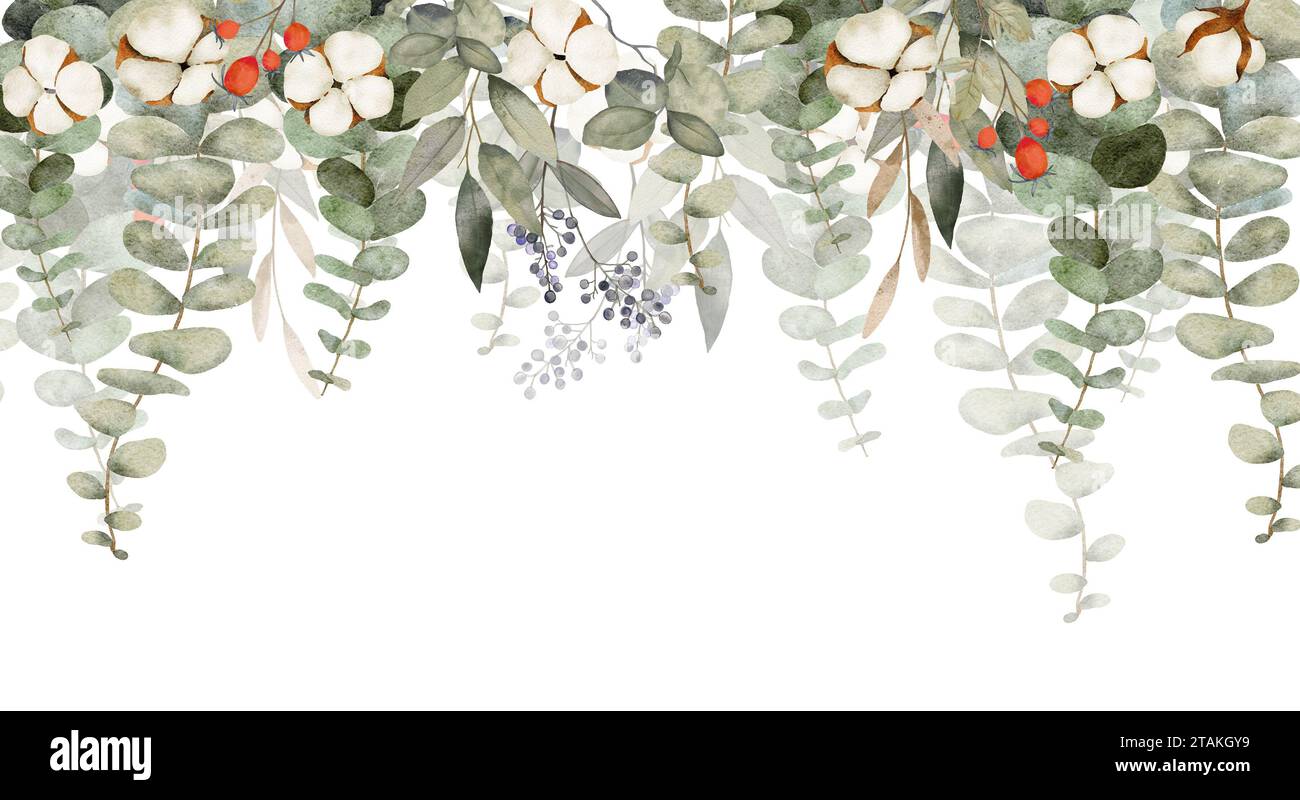 Bordure aquarelle avec des fleurs de coton, des branches d'eucalyptus et des baies sauvages Banque D'Images