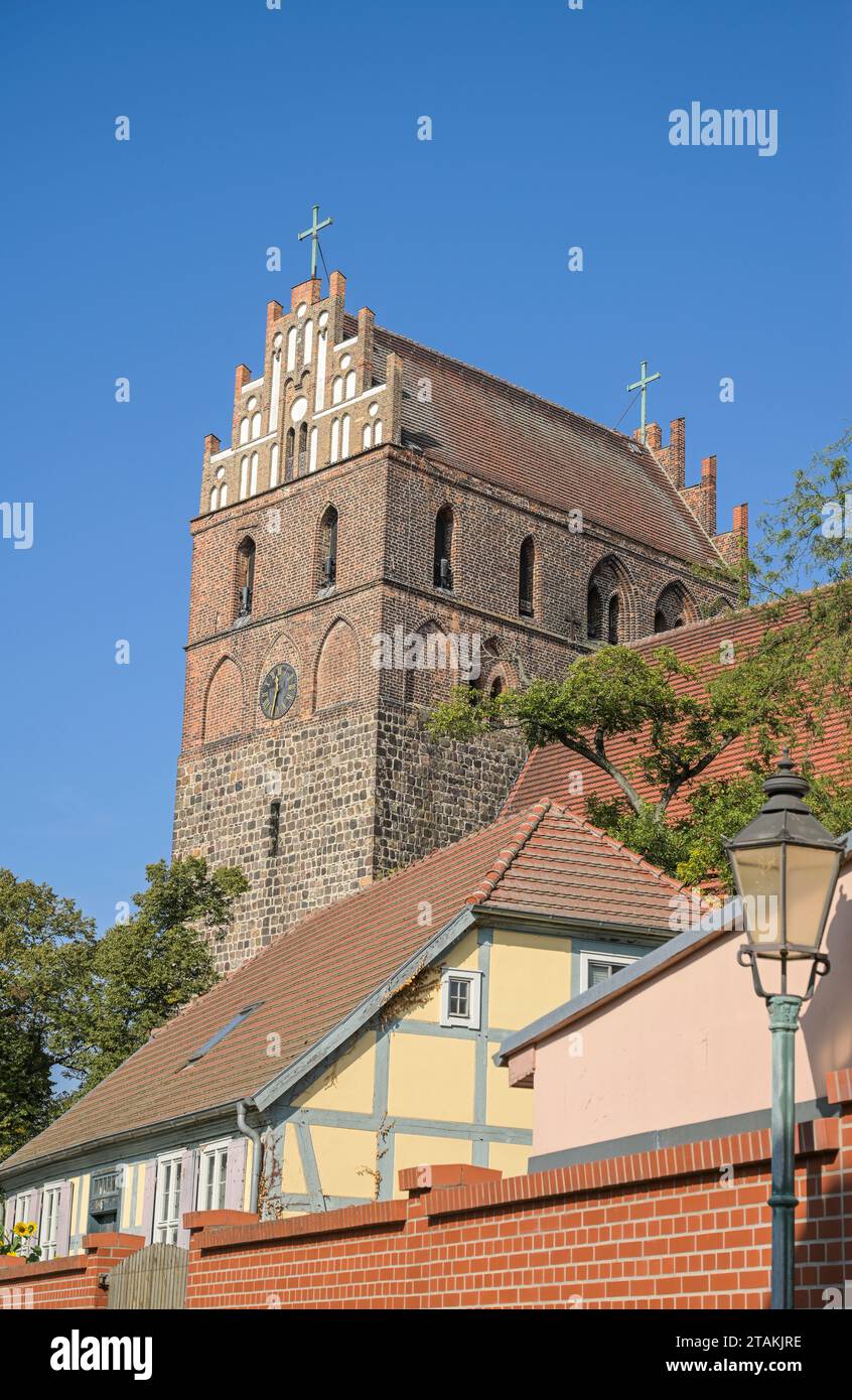 St.-Marien-Kirche, Kirchplatz, Angermünde, Brandenburg, Deutschland Banque D'Images