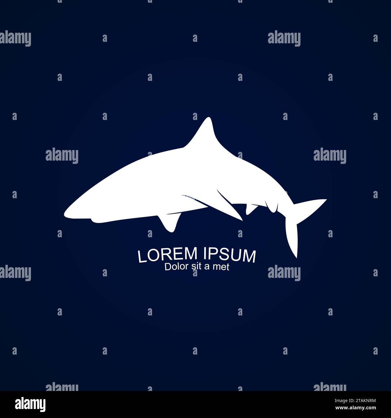 Requin sur un fond bleu. Illustration vectorielle Illustration de Vecteur