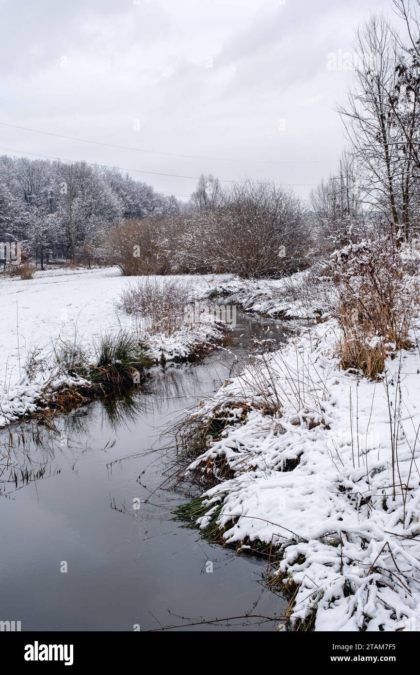 un ruisseau dans le paysage enneigé, paysage enneigé, paysage de conte de fées d'hiver Banque D'Images