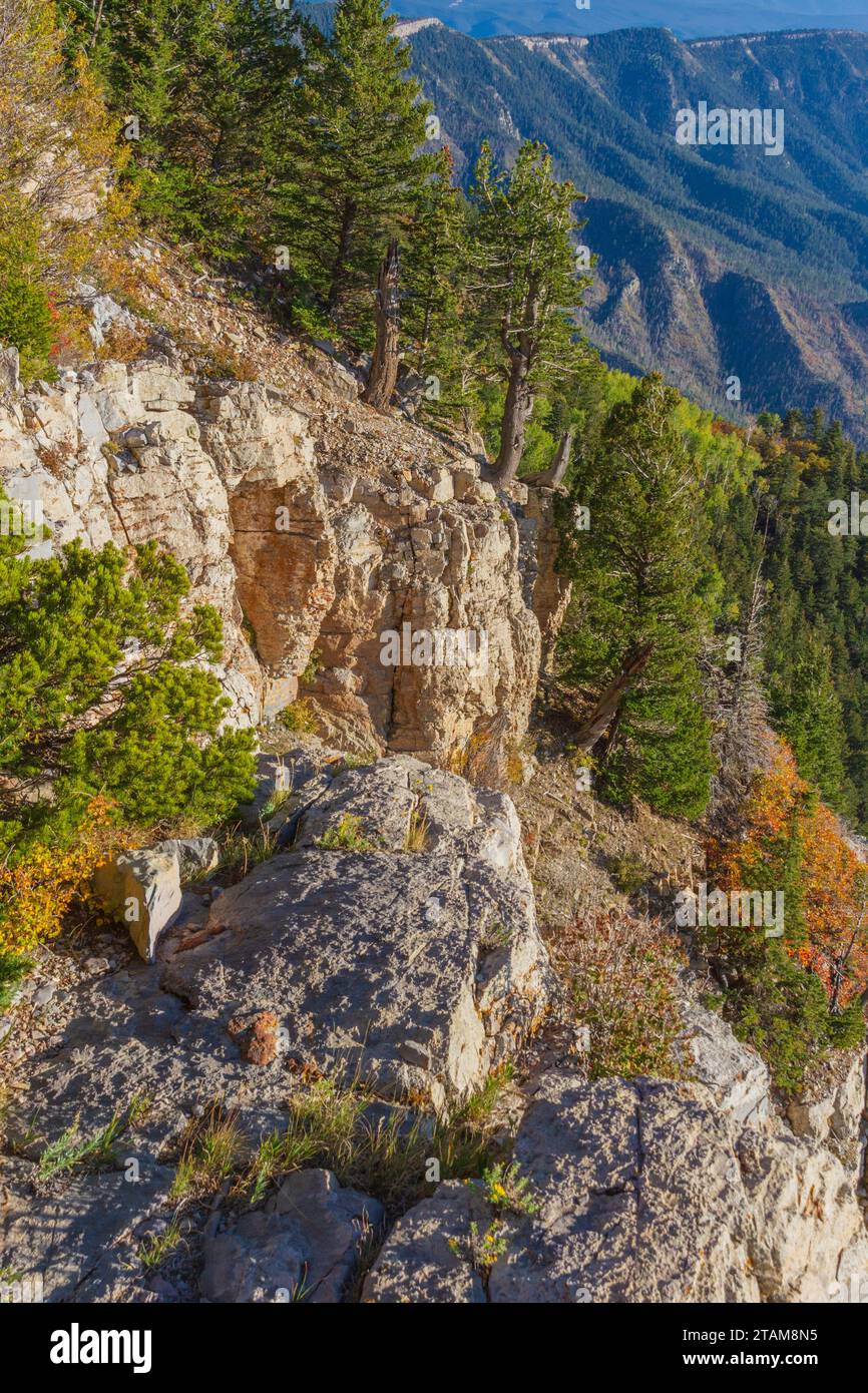 Vue sur la forêt nationale de Cibola et les montagnes de Sandia depuis le tramway aérien de Sandia Peak au Nouveau-Mexique. Banque D'Images