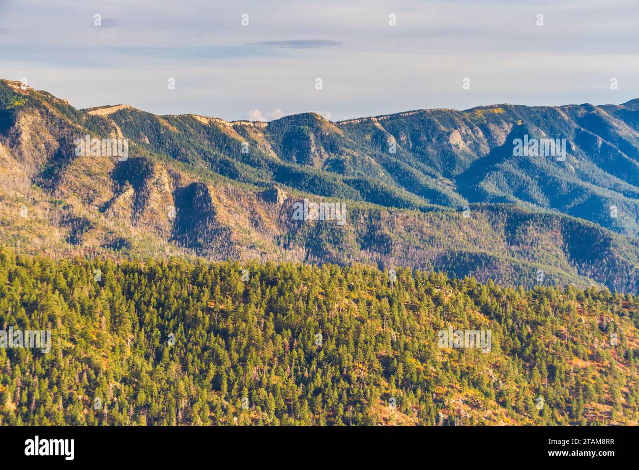 Vue sur la forêt nationale de Cibola et les montagnes de Sandia depuis le tramway aérien de Sandia Peak au Nouveau-Mexique. Banque D'Images