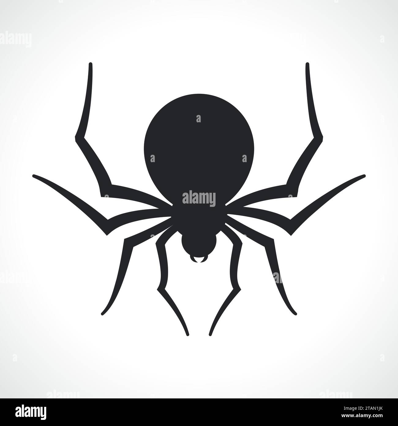 Illustration d'araignée noire sur fond blanc Illustration de Vecteur
