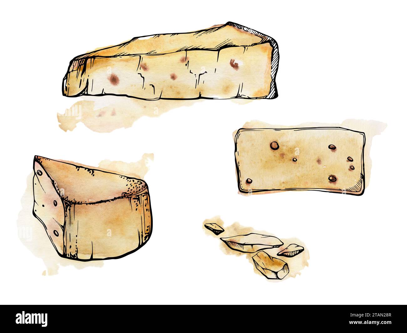 Illustration à l'encre aquarelle dessinée à la main. Produit laitier au fromage Parmesan edam emmental fontina gruyere. Objet unique isolé sur blanc. Conception Banque D'Images