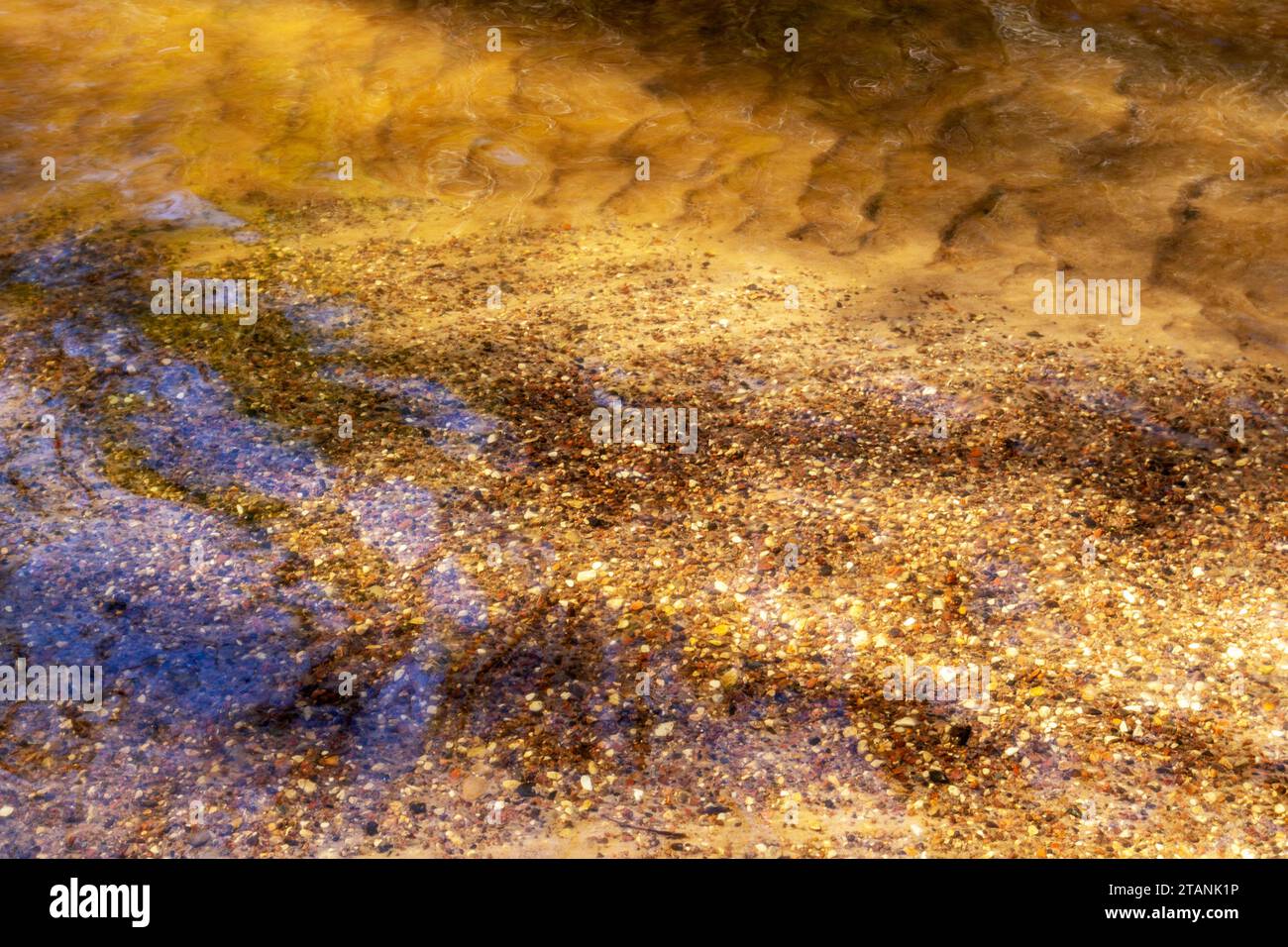 petits cailloux dans le sable visibles à travers l'eau de rivière de couleur brune Banque D'Images