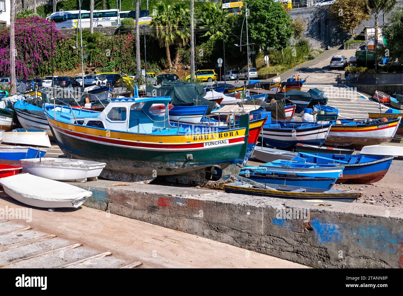Bateaux de pêche colorés dans le port de Câmara de Lobos, Madère, Portugal Banque D'Images
